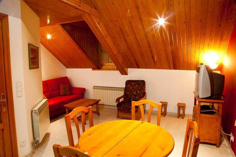 Apartamentos Mazcaray Bielsa Værelse billede